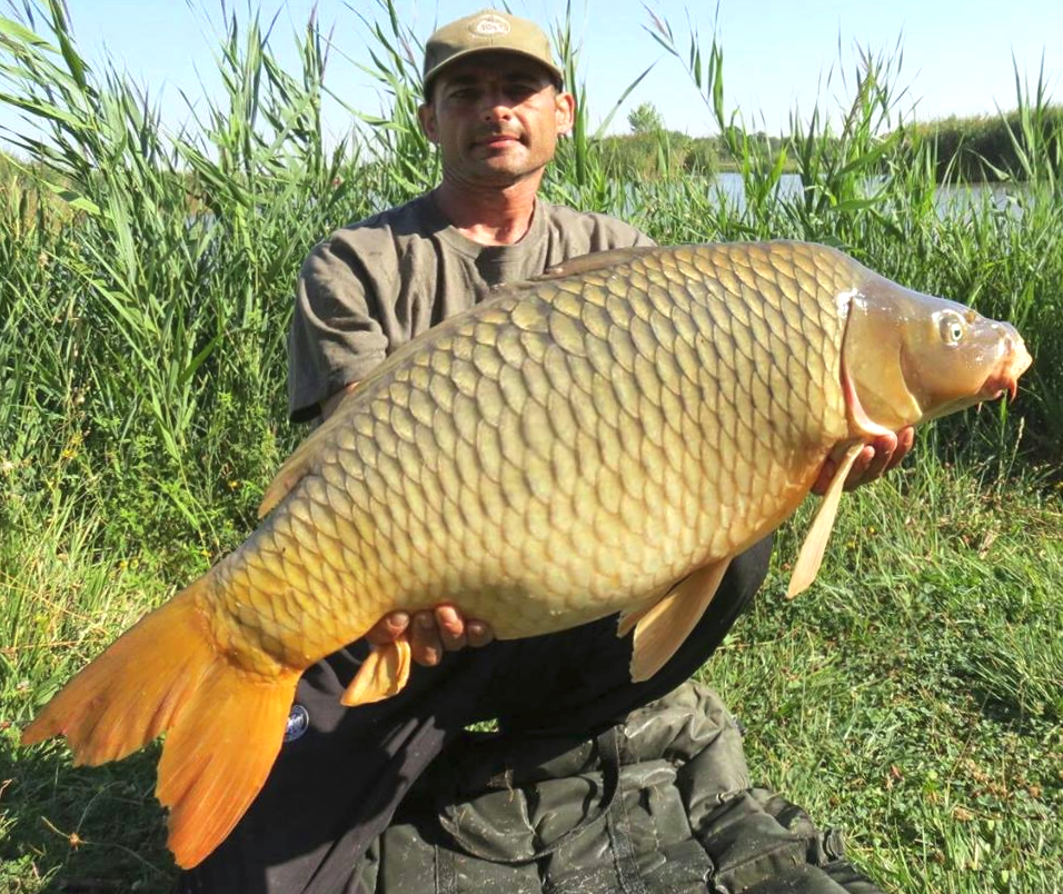 The best pictures of 2013 - effects-distort-bulge.png